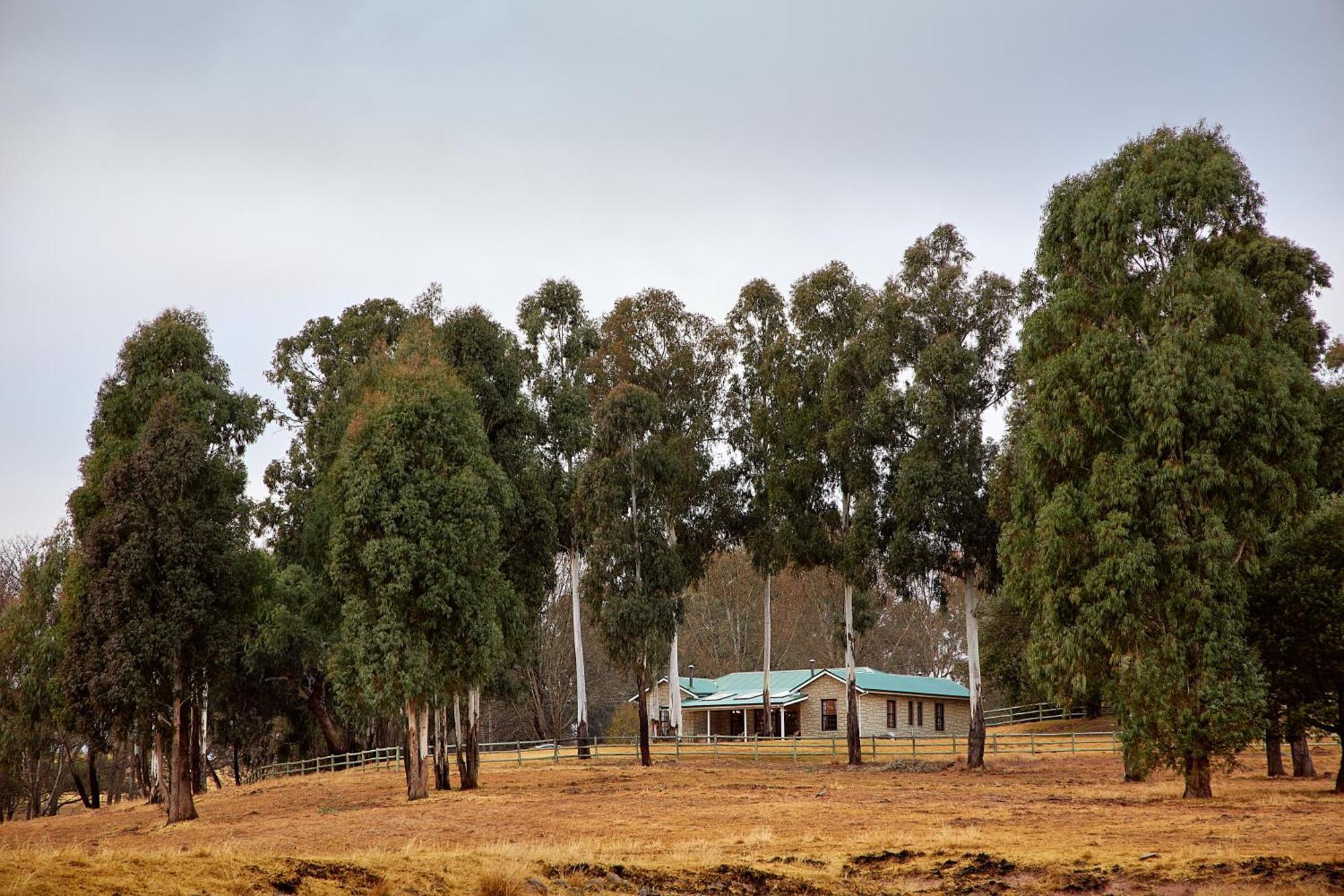 First Group Bushman'S Nek Hotel Garden Castle Exterior foto